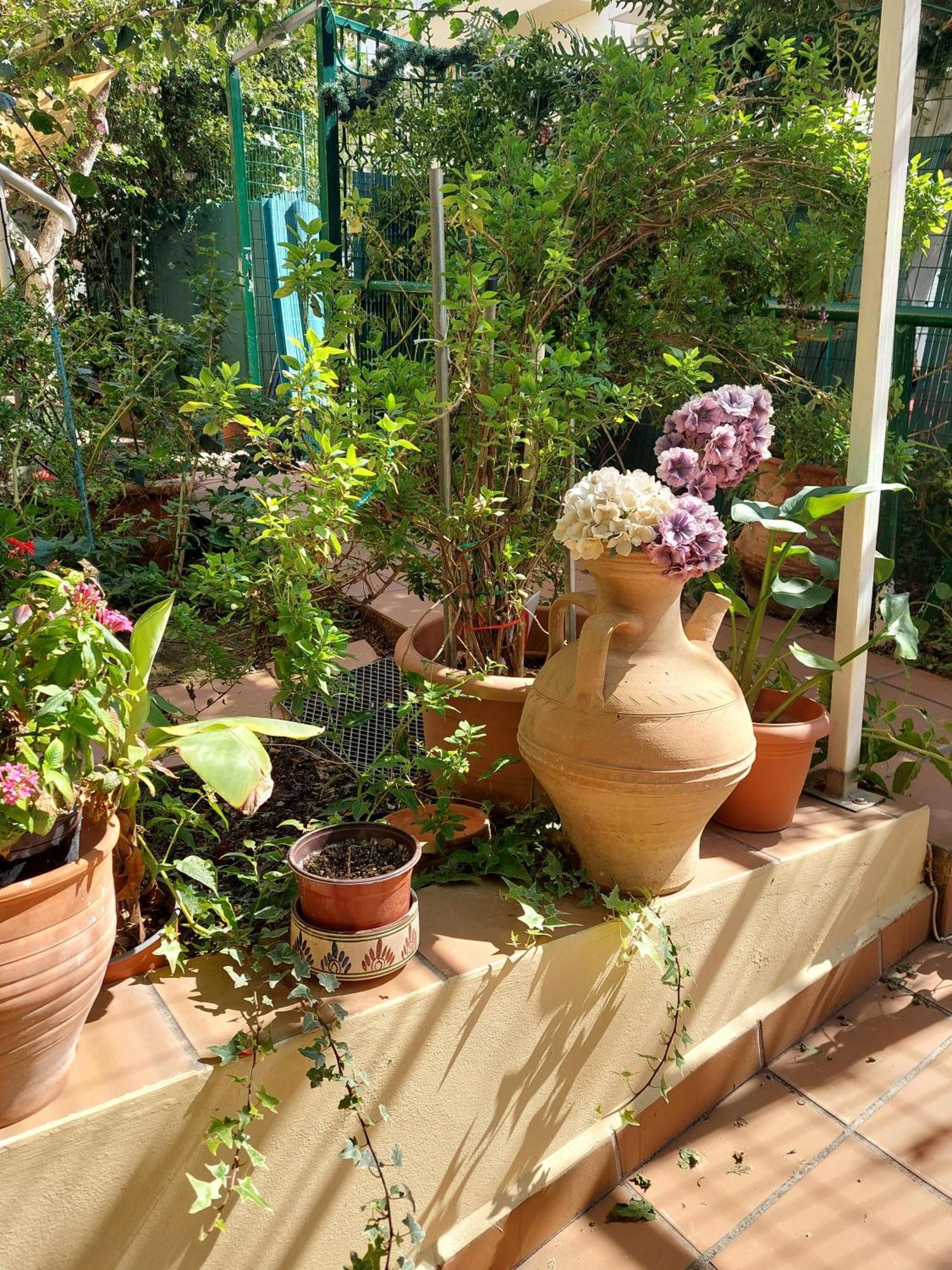Georgia's Family Appartement